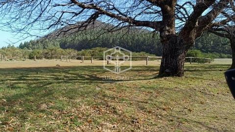 Un mondo di possibilità dove godere della natura. Su 300.000 m2 con cavalli, mucche, pecore, galline… e alberi da frutto (mele, prugne, noci). Antica fattoria di famiglia trasformata in uno degli alloggi più speciali dell’isola. Dispone di diversi ed...