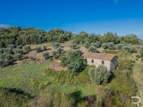 In vendita un casale situato in una posizione panoramica mozzafiato, circondato da vigneti e uliveti. La proprietà gode di una posizione assolutamente appartata che vi incanterà con i suoi panorami infiniti e la sua atmosfera tranquilla e silenziosa....