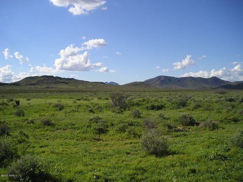 Leerstehendes Rohland in Tonopah, tolle Lage direkt an den Horseshoe Trails. Denken Sie darüber nach, ein Stück Land zu entwickeln und/oder für zukünftige Werte zu halten? Rollende Ebenen und saisonale Waschung. Tolle Aussicht auf die Berge. Zoniert ...