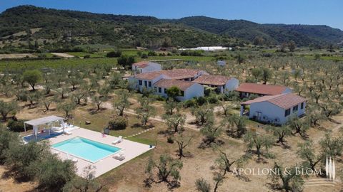 Casale in classe A1 nell’entroterra del Golfo di Orosei con agriturismo, piscina e terreno in vendita a Galtellì, Nuoro - Sardegna. Nella rigogliosa campagna all’interno del Golfo di Orosei, tra olivi secolari e vigneti di Cannonau si trova questo ca...