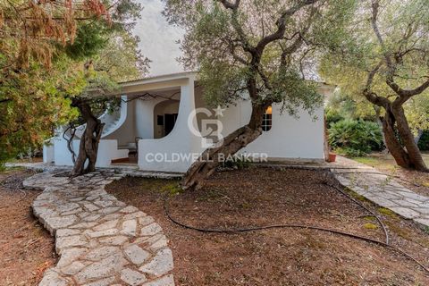 OSTUNI - MARINEROSE Im renommierten internationalen Dorf Rosa Marina bieten wir im Olivenhaingebiet eine charmante und typische Doppelhaushälfte mit großem Garten und Veranda zum Verkauf an. Die Villa verfügt über eine Eingangshalle mit Kamin, ein Ba...