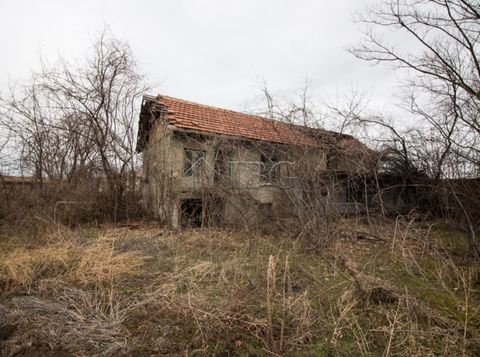 IBG Real Estates est heureux de proposer cette propriété rurale, située dans un village pittoresque et très bien organisé près de Ruse. Il y a un petit zoo avec des autruches et d'autres animaux au centre du village, ainsi qu'un magasin, un restauran...