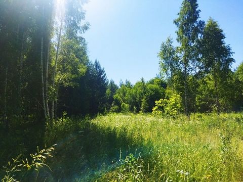 Всегда мечтали о своем участке в экологически чистом месте и с отличной природой? Тогда этот вариант для вас! Данный участок расположен вдали от шумных транспортных магистралей и больших городов, где природные условия практически безупречны с экологи...