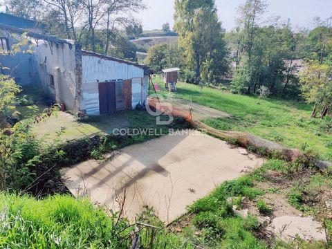 LAZIO - VITERBO - MONTALTO DI CASTRO (VT) FERME EN CONSTRUCTION AVEC ENTREPÔT ET JARDIN A quelques kilomètres de l'entrée du village, dans le quartier de Sant'Agostino, une ferme en construction, avec un projet approuvé, de 115 m2 d'espace commercial...