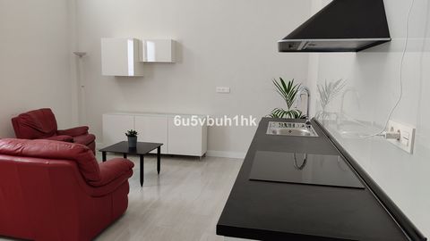 Located in Málaga. Charming, brand-new, freestanding building with two separate apartments in the heart of Malaga. This unique property is designed with a modern loft style, featuring a spacious single-floor layout that includes one en-suite bedroom ...