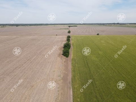 VELD OP DE WEG MET 75% AGRARISCH - SAN MIGUEL DEL MONTE   Locatie: Het veld is gelegen in het Monte District, met uitstekende toegang vanaf Route 41,   Afstanden tot bezienswaardigheden : - CABA 150 KM - San Miguel del Monte 44 km - Algemeen Belgrano...