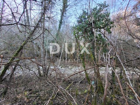 ISTRIË, BUZET - Ruime landbouwgrond Buzet ligt in het uiterste noorden van Istrië, vlakbij de grens met Slovenië. De historische kern, die dateert uit de Middeleeuwen, ligt op de top van een heuvel boven de vruchtbare vallei van de langste rivier van...