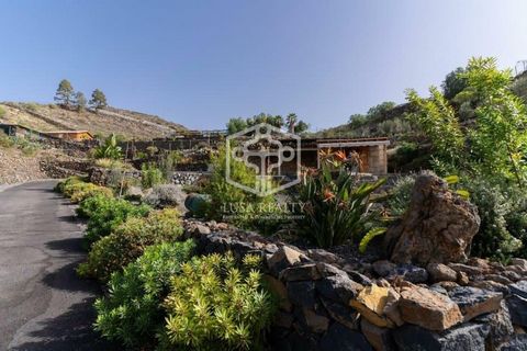 Diese spektakuläre Finca in der Gegend von Chío, Guía de Isora, Teneriffa Süd, besteht aus ca. 10.000 m2, auf denen sich 3 unabhängige Studios mit Bad und Küche, ein Haus mit 3 Schlafzimmern, Wohnzimmer, voll ausgestatteter Küche und Bad, ein weitere...