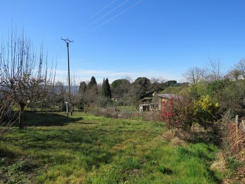 photo no. 11