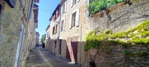 photo no. 13