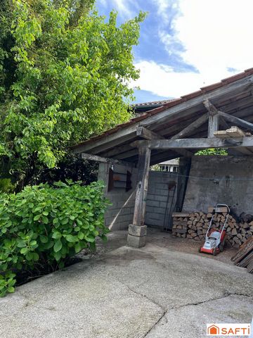 photo no. 11