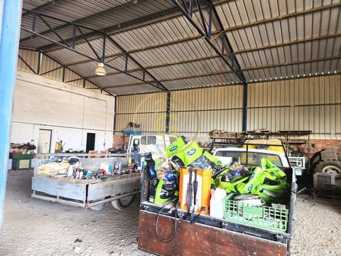 Warehouse in the Industrial area of Alpiarça, on a plot of 2500mts2. This warehouse consists of 2 bathrooms, kitchen, office and living room. Here you can set up your business in the Industrial area, without worries of easy access. Energy Rating: Exe...