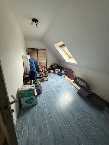 photo no. 13