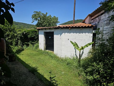 photo no. 13