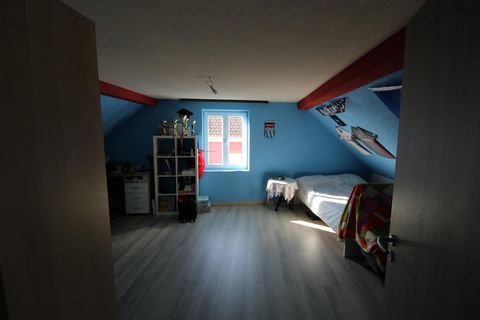 photo no. 7