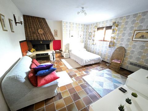 photo no. 17