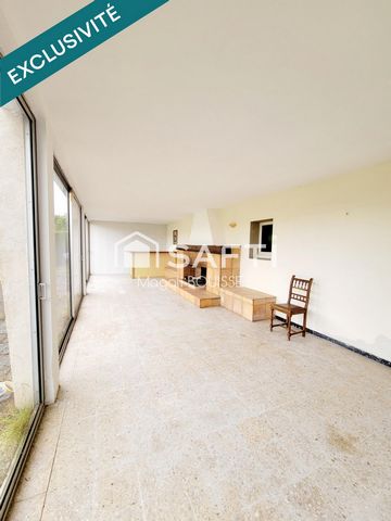 photo no. 11