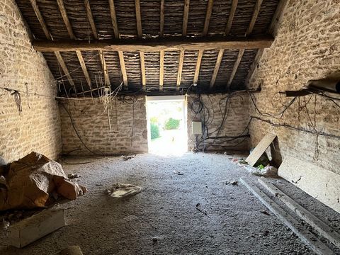 photo no. 7