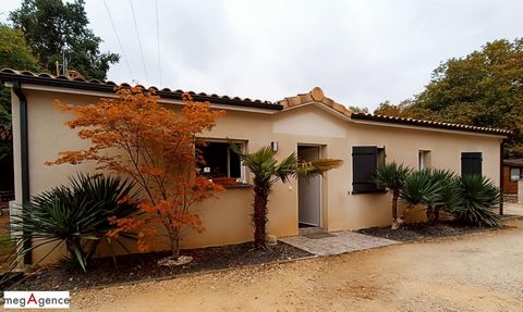 photo no. 12
