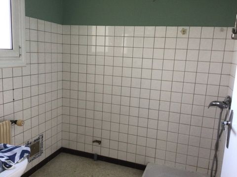 photo no. 15
