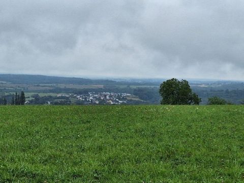 photo no. 2