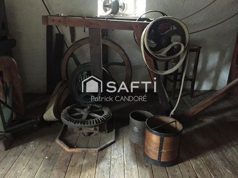 photo no. 11