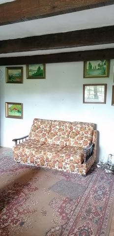 photo no. 4