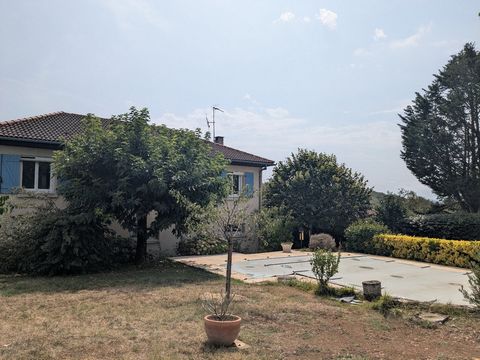 photo no. 16
