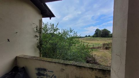 photo no. 6