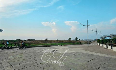 photo no. 1