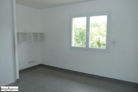 photo no. 6