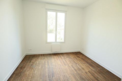 photo no. 7