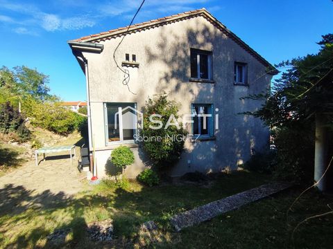 photo no. 13