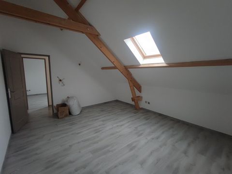 photo no. 11