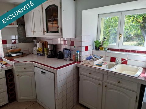 photo no. 11