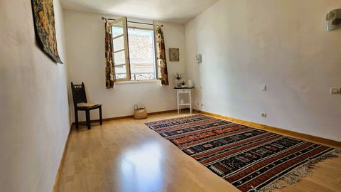 photo no. 6