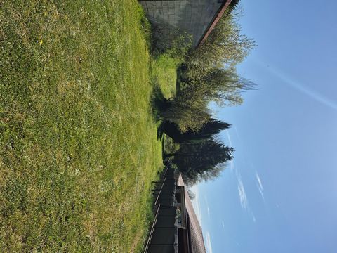 photo no. 12