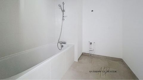 photo no. 6