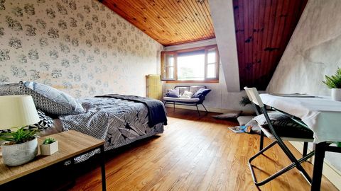 photo no. 10
