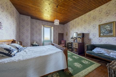 photo no. 8
