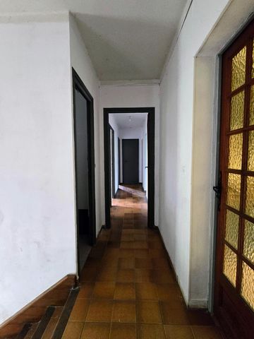 photo no. 7