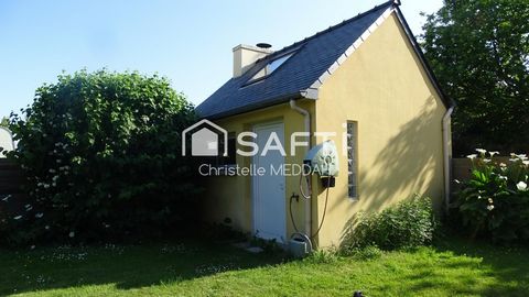 photo no. 11
