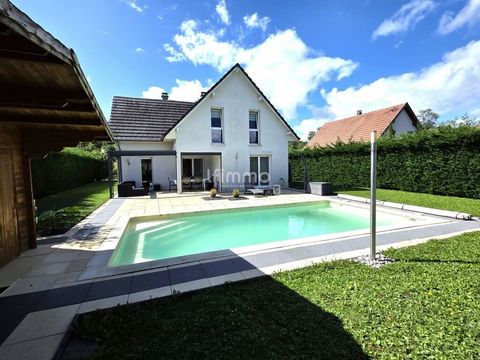 photo no. 11