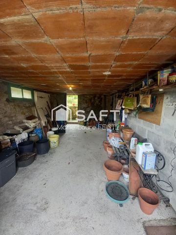 photo no. 13