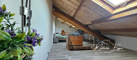 photo no. 14