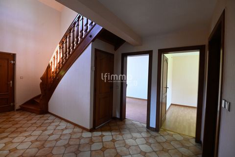 photo no. 15