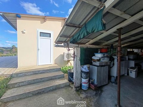 photo no. 16