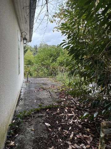 photo no. 13