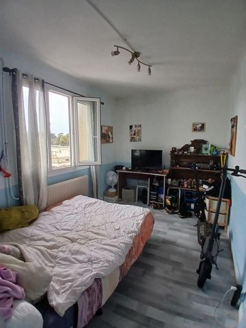 photo no. 4