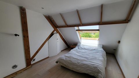 photo no. 4